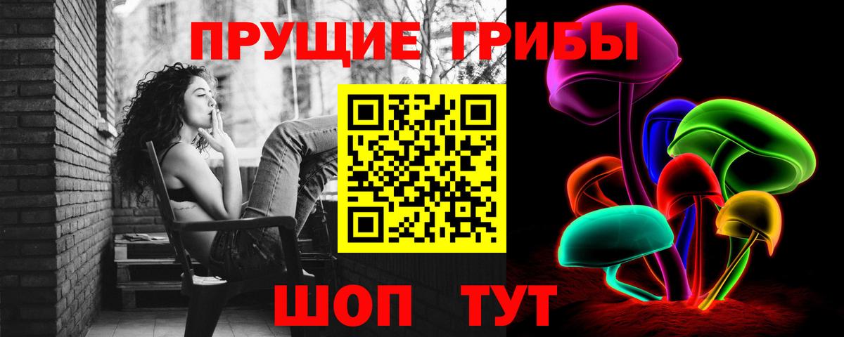 Камышлов  Псилоцибиновые грибы мицелий  Вход с VPN  Галлюциногенные грибы ЛСД 